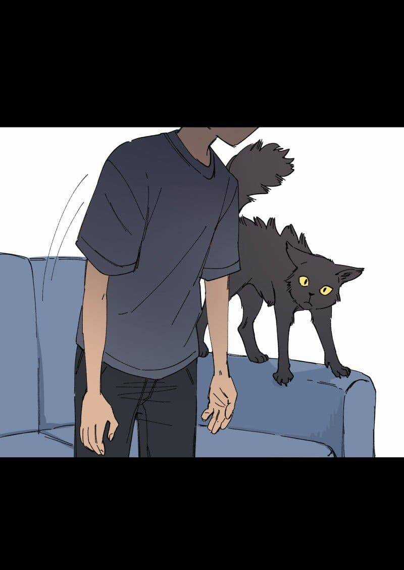 Lumine Chapter 88 trang 13