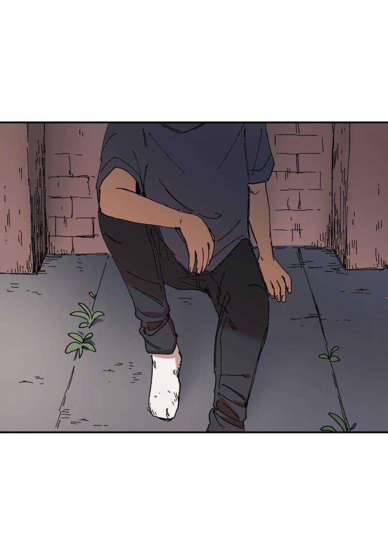 Lumine Chapter 88 trang 23