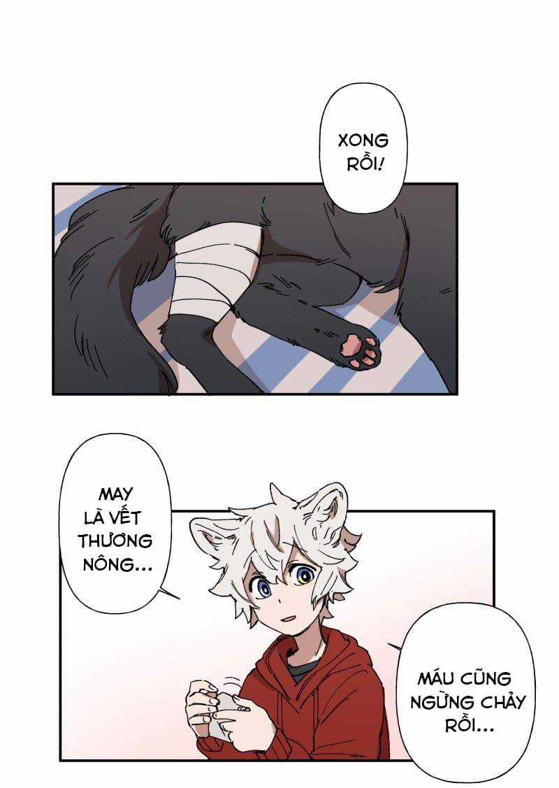 Lumine Chapter 88 trang 34