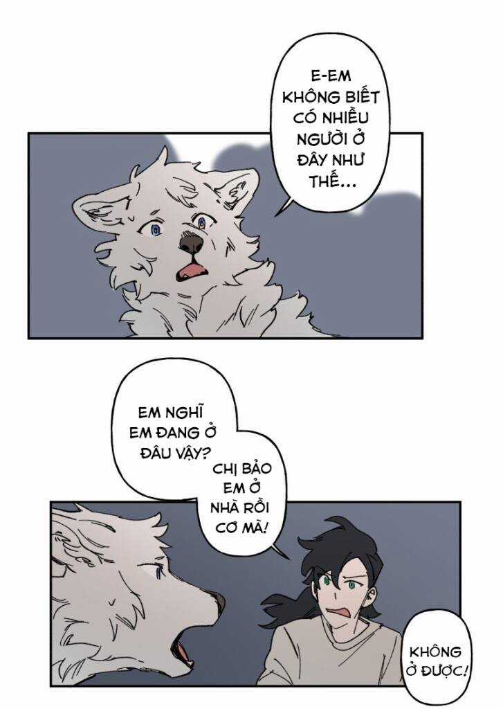 Lumine Chapter 89 trang 19