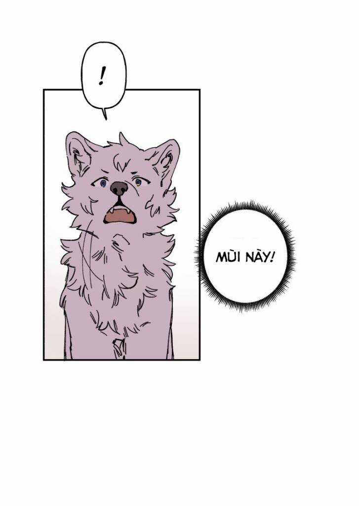 Lumine Chapter 89 trang 29