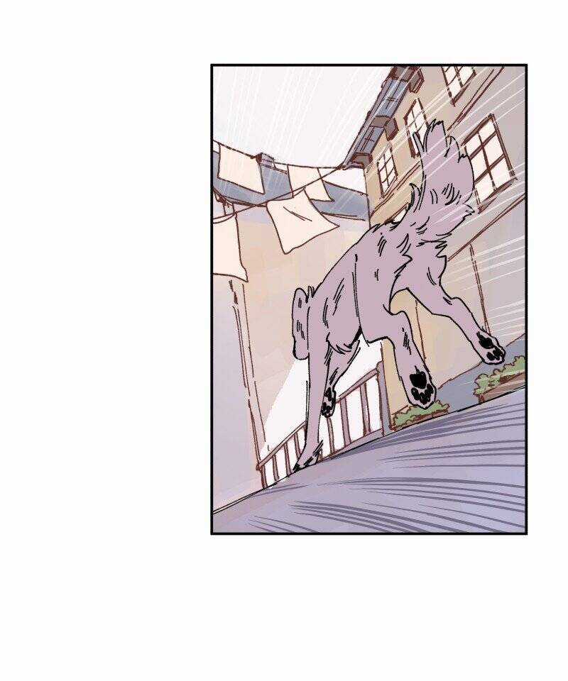 Lumine Chapter 89 trang 30