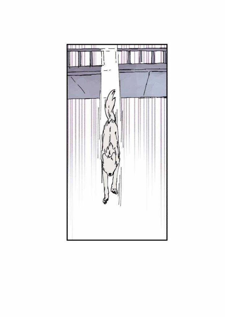 Lumine Chapter 89 trang 34