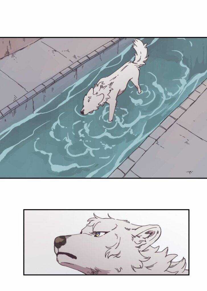 Lumine Chapter 89 trang 36