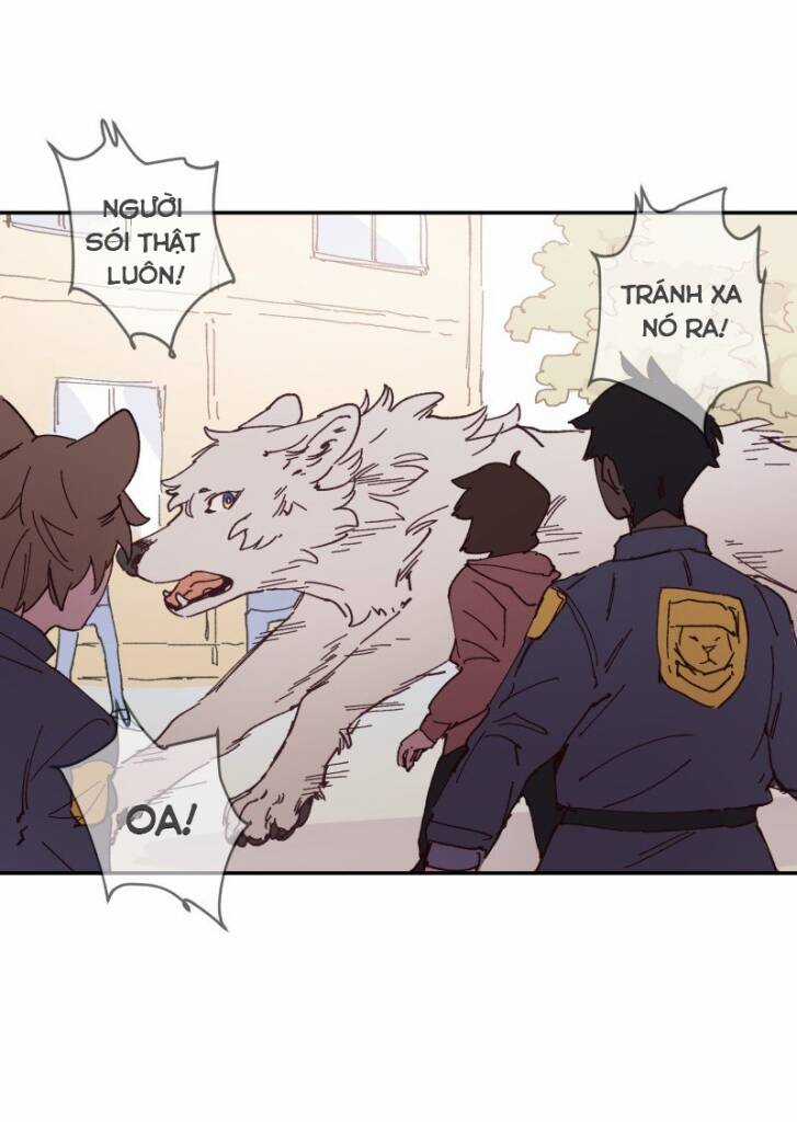 Lumine Chapter 89 trang 8