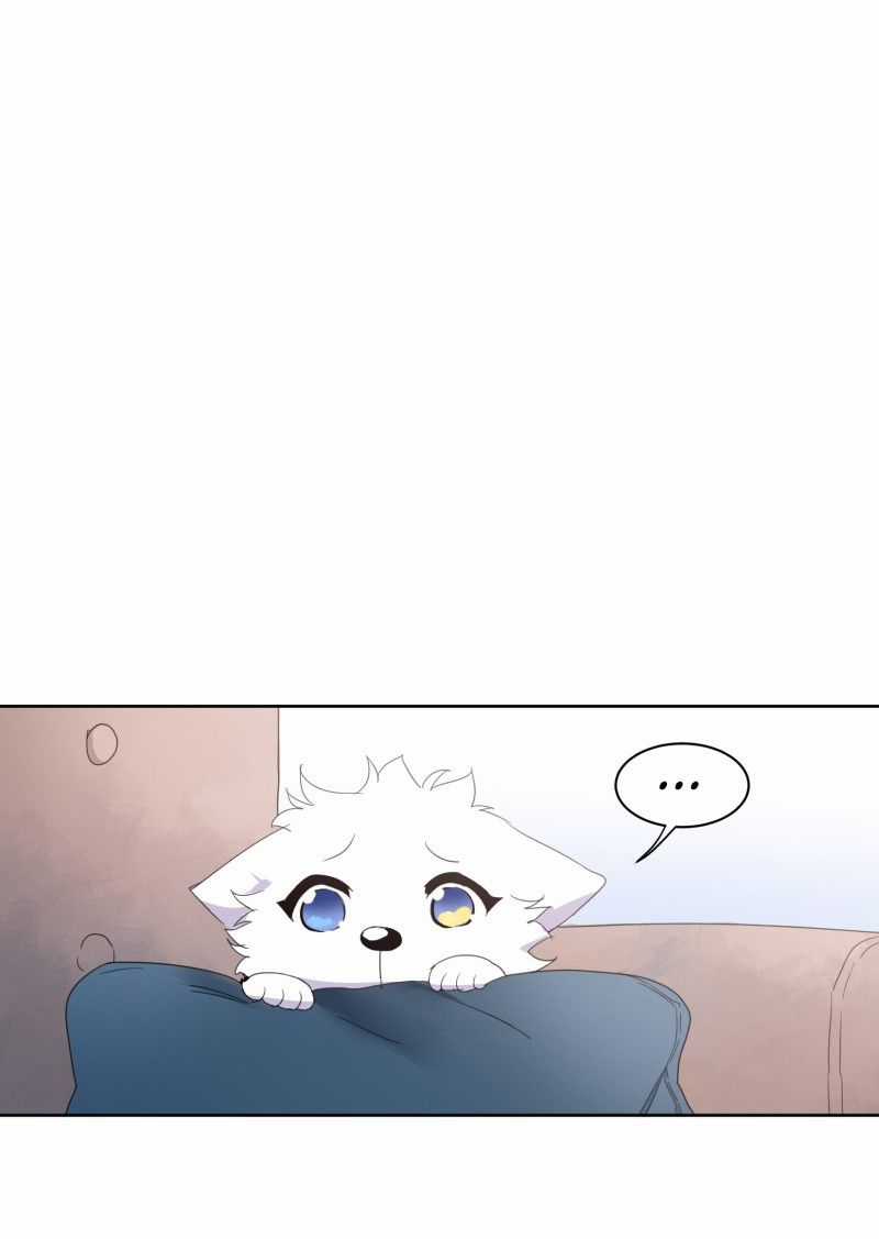 Lumine Chapter 9 trang 2