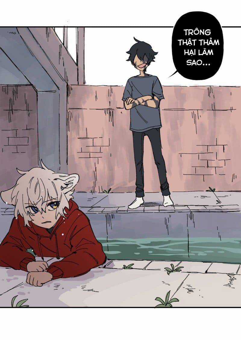 Lumine Chapter 90 trang 19