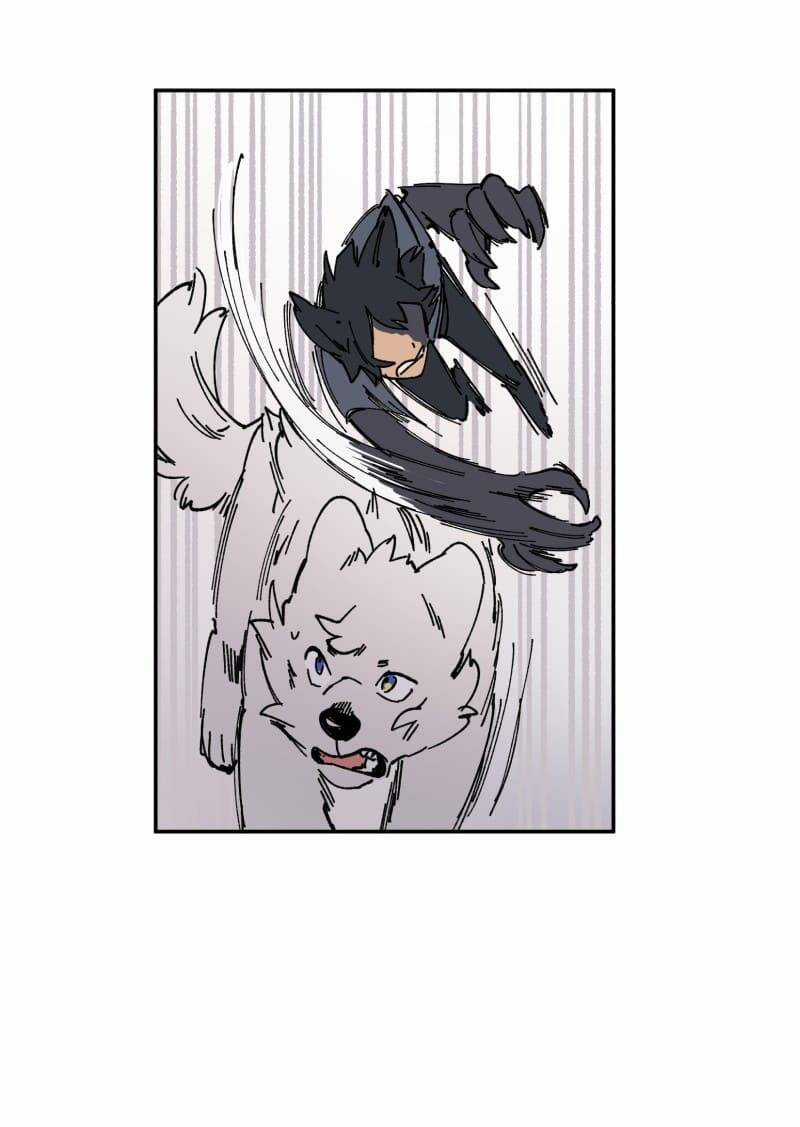 Lumine Chapter 91 trang 39