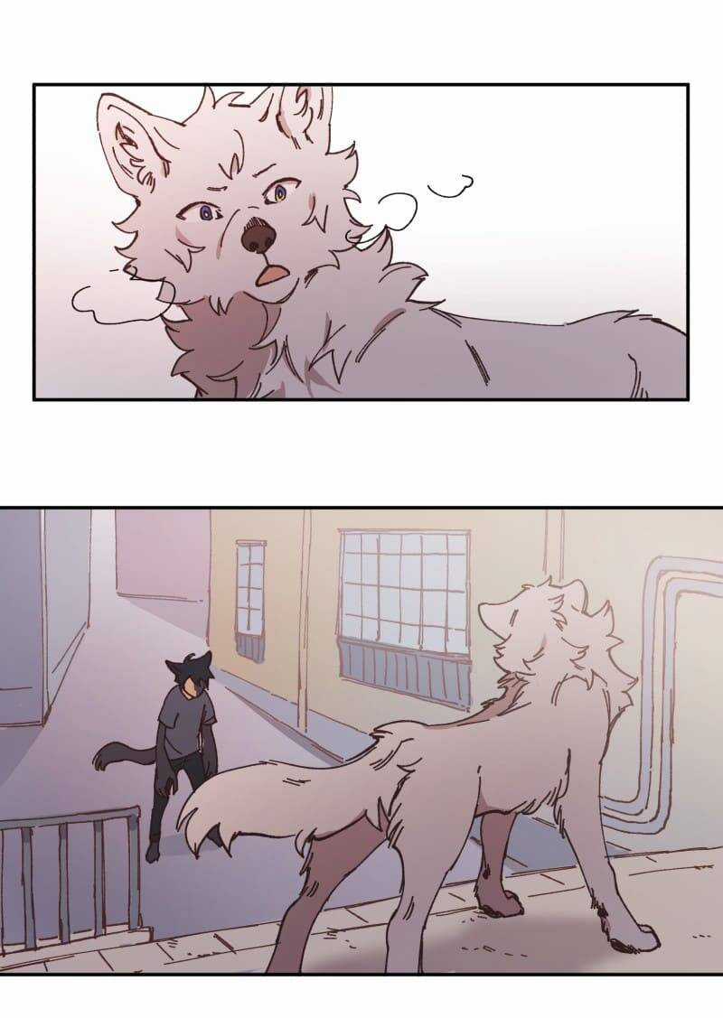 Lumine Chapter 91 trang 41