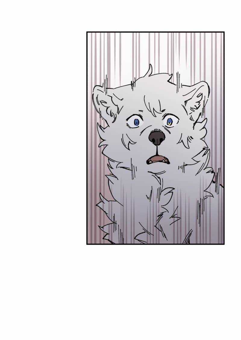 Lumine Chapter 91 trang 45