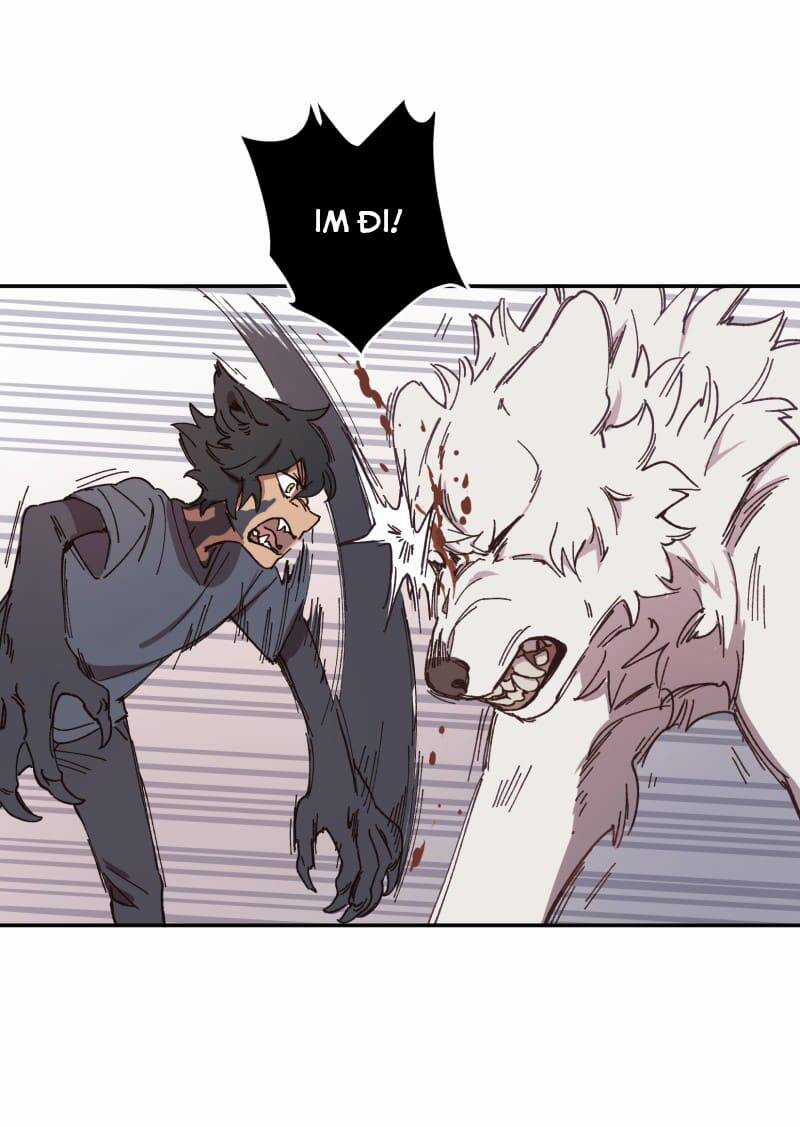 Lumine Chapter 92 trang 14