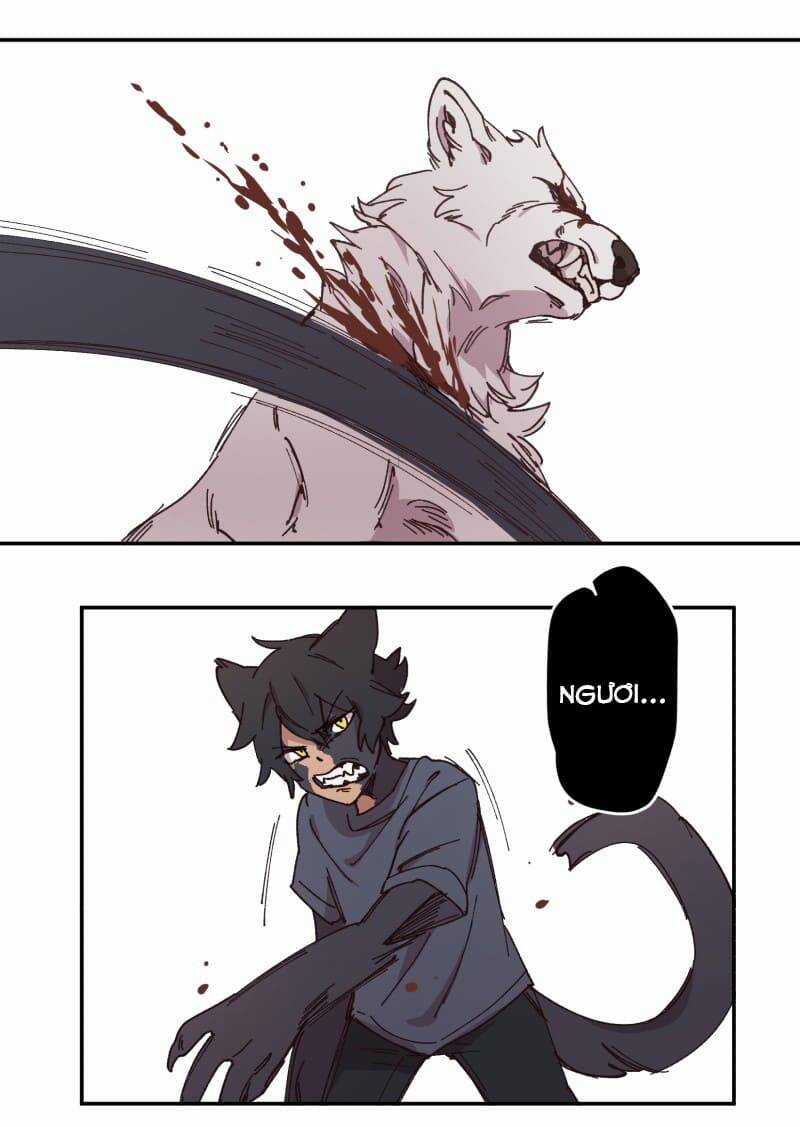 Lumine Chapter 92 trang 17