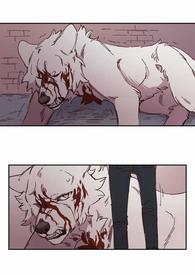 Lumine Chapter 92 trang 22