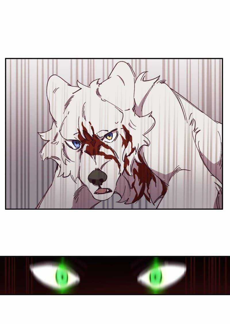 Lumine Chapter 92 trang 25