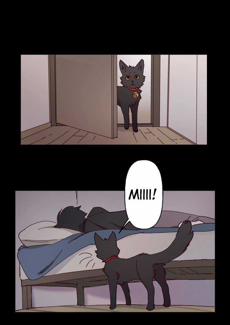 Lumine Chapter 95 trang 11