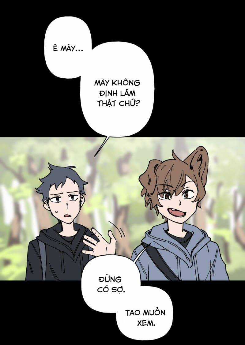 Lumine Chapter 97 trang 2