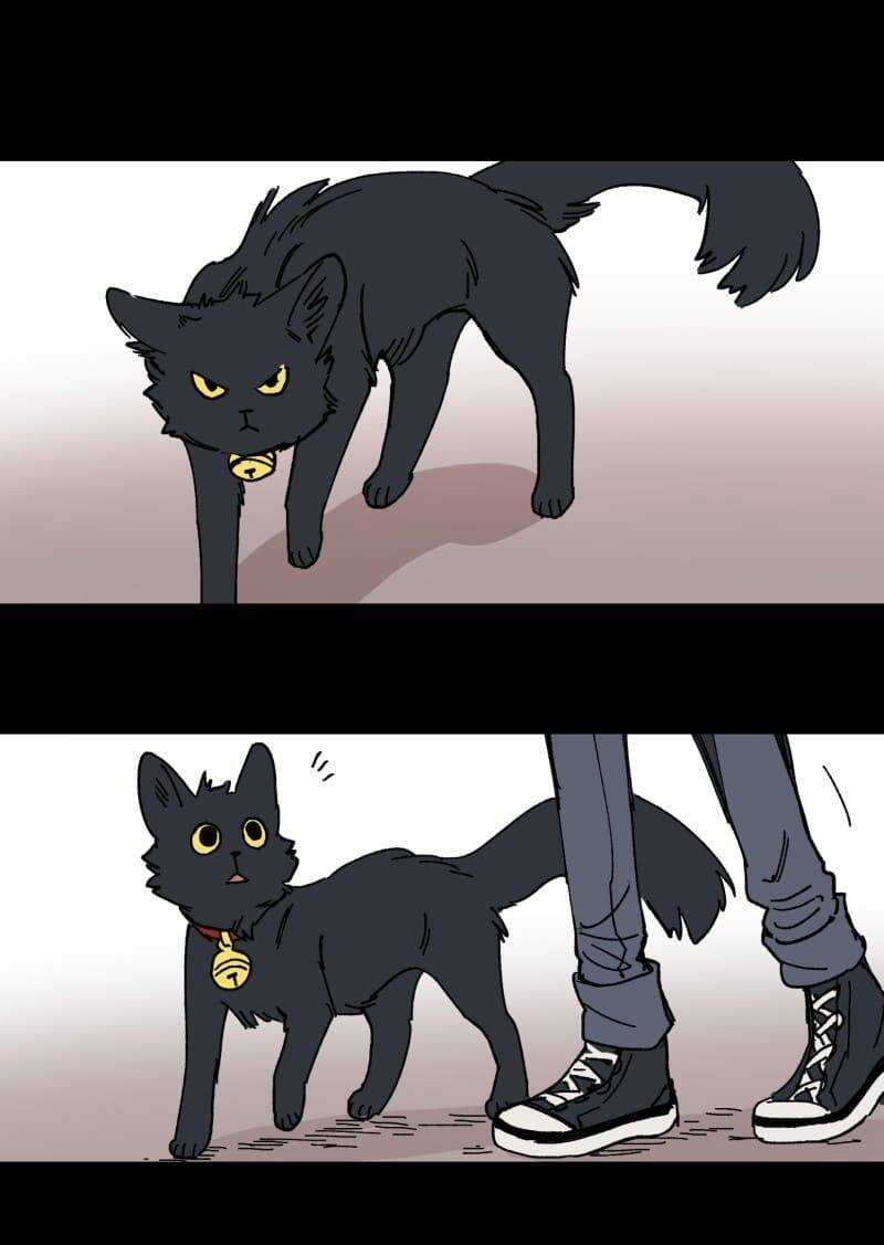 Lumine Chapter 97 trang 4