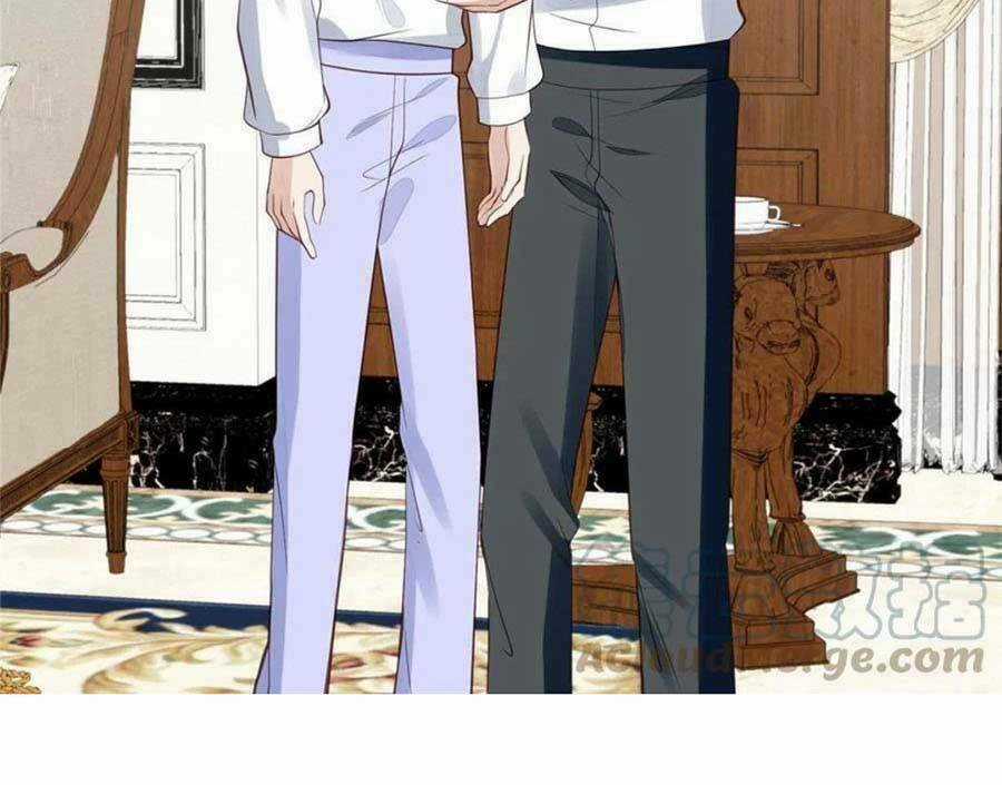 Lưng Dựa Núi Lớn Đứng Vững C Vị Chapter 144 trang 17