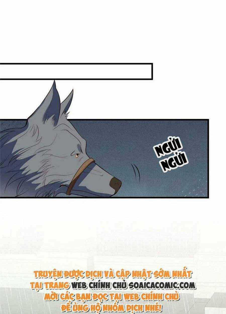 Lưng Dựa Núi Lớn Đứng Vững C Vị Chapter 145 trang 7