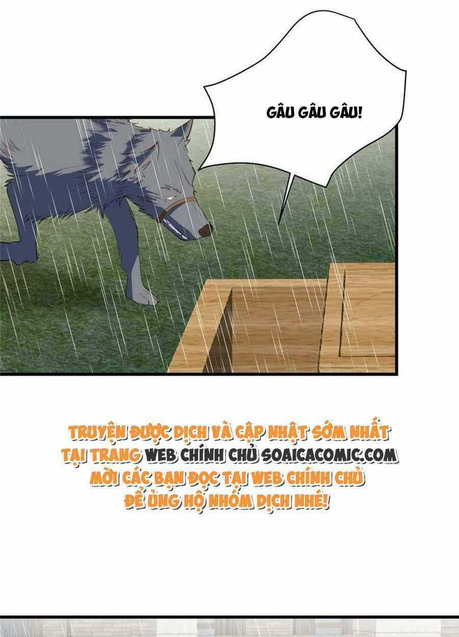 Lưng Dựa Núi Lớn Đứng Vững C Vị Chapter 145 trang 9