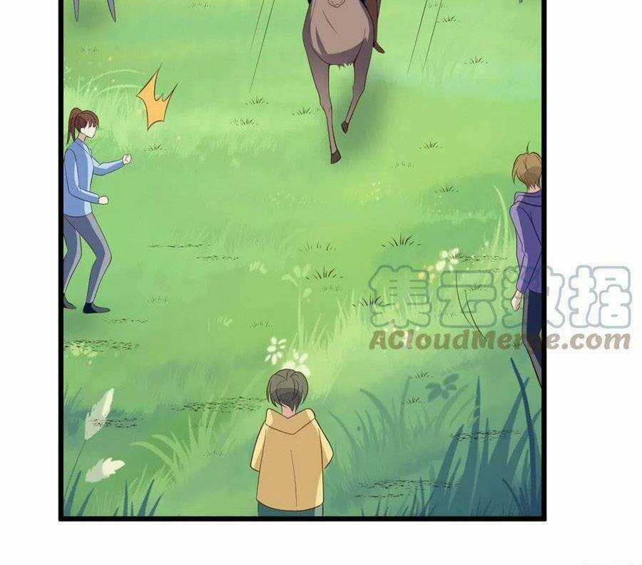 Lưng Dựa Núi Lớn Đứng Vững C Vị Chapter 150 trang 11