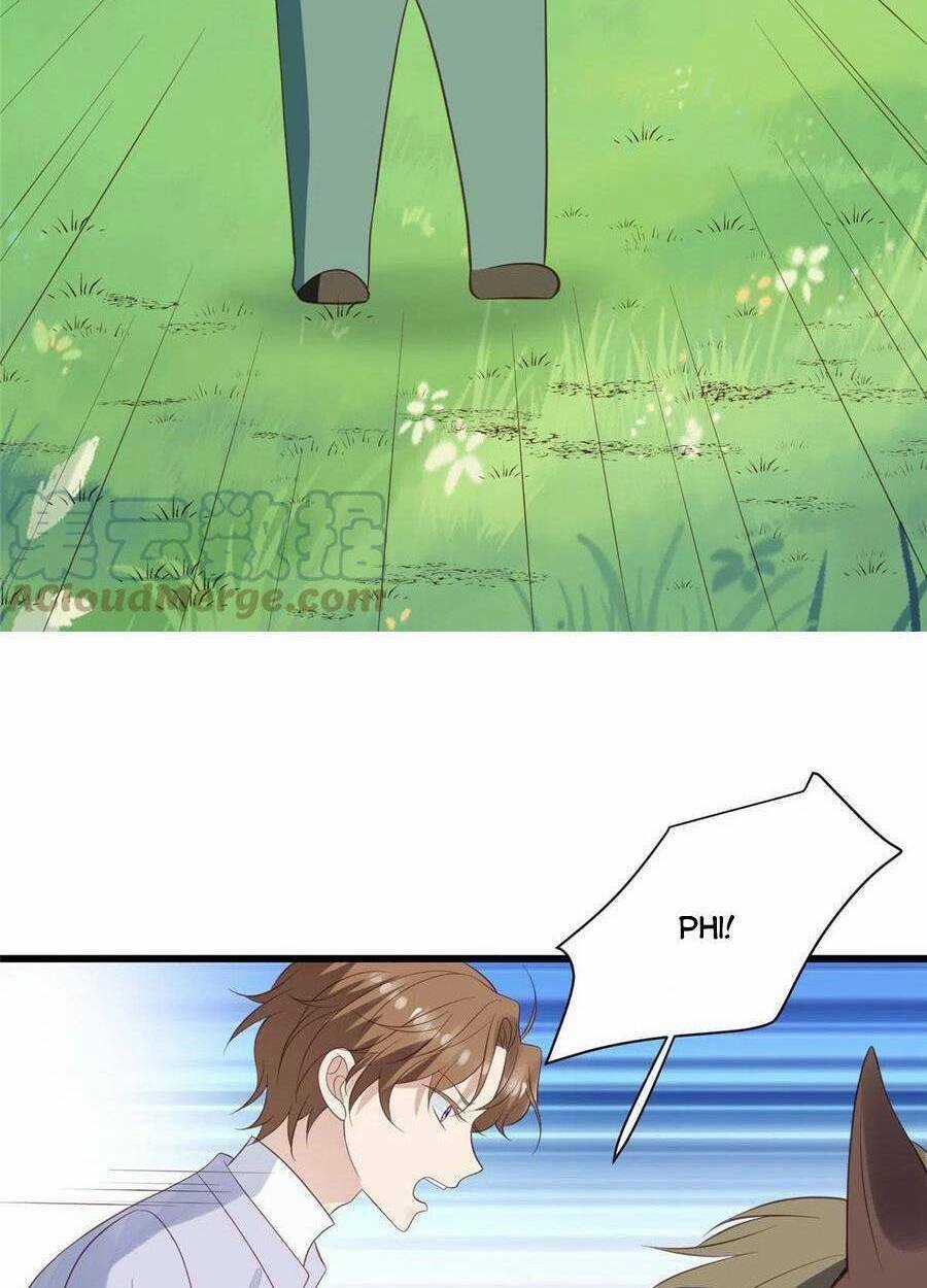 Lưng Dựa Núi Lớn Đứng Vững C Vị Chapter 150 trang 14