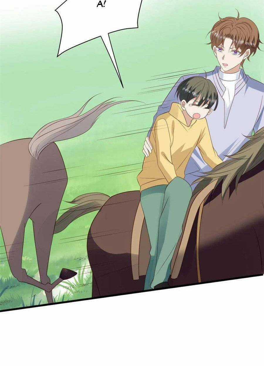 Lưng Dựa Núi Lớn Đứng Vững C Vị Chapter 150 trang 18