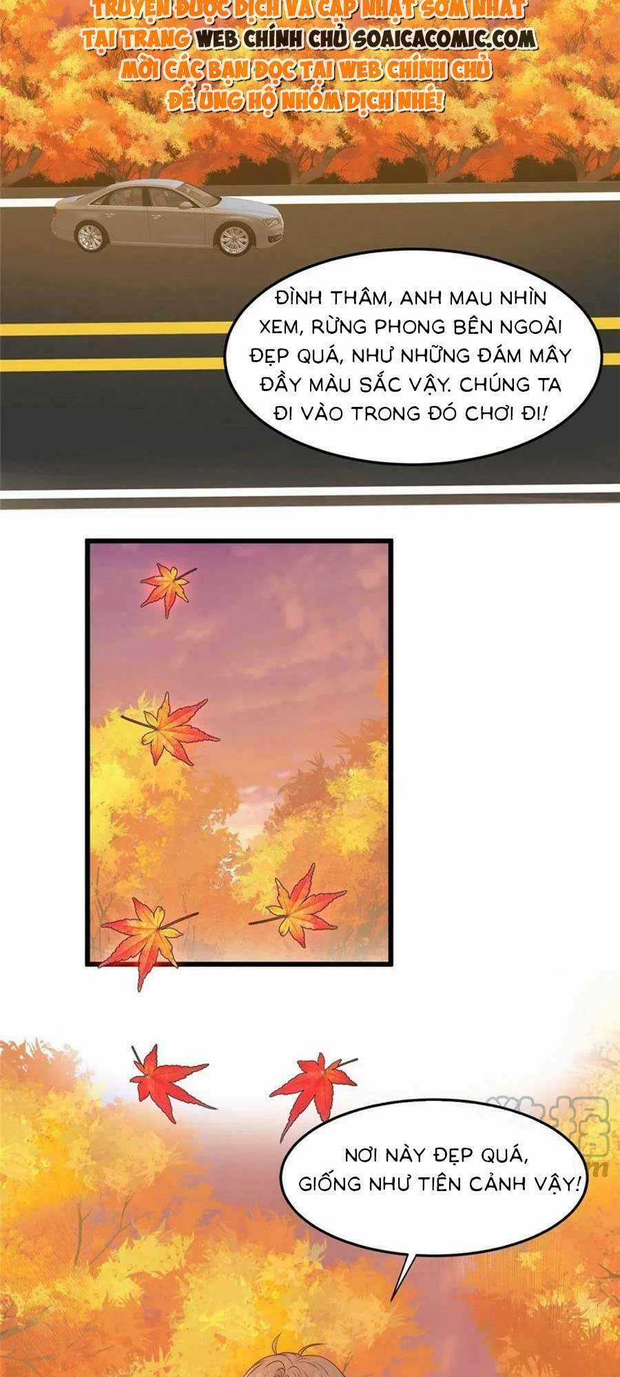 Lưng Dựa Núi Lớn Đứng Vững C Vị Chapter 152 trang 4