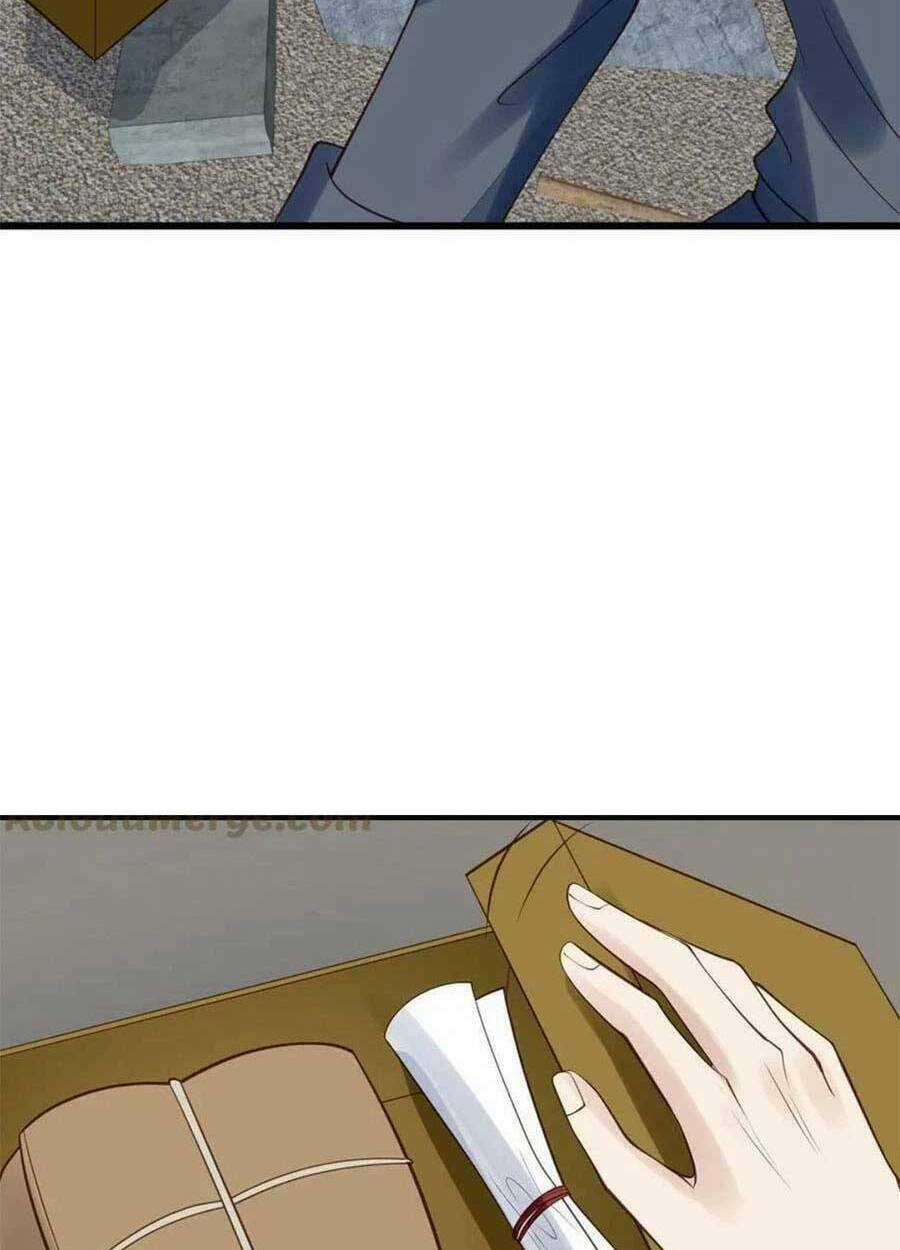 Lưng Dựa Núi Lớn Đứng Vững C Vị Chapter 153 trang 21