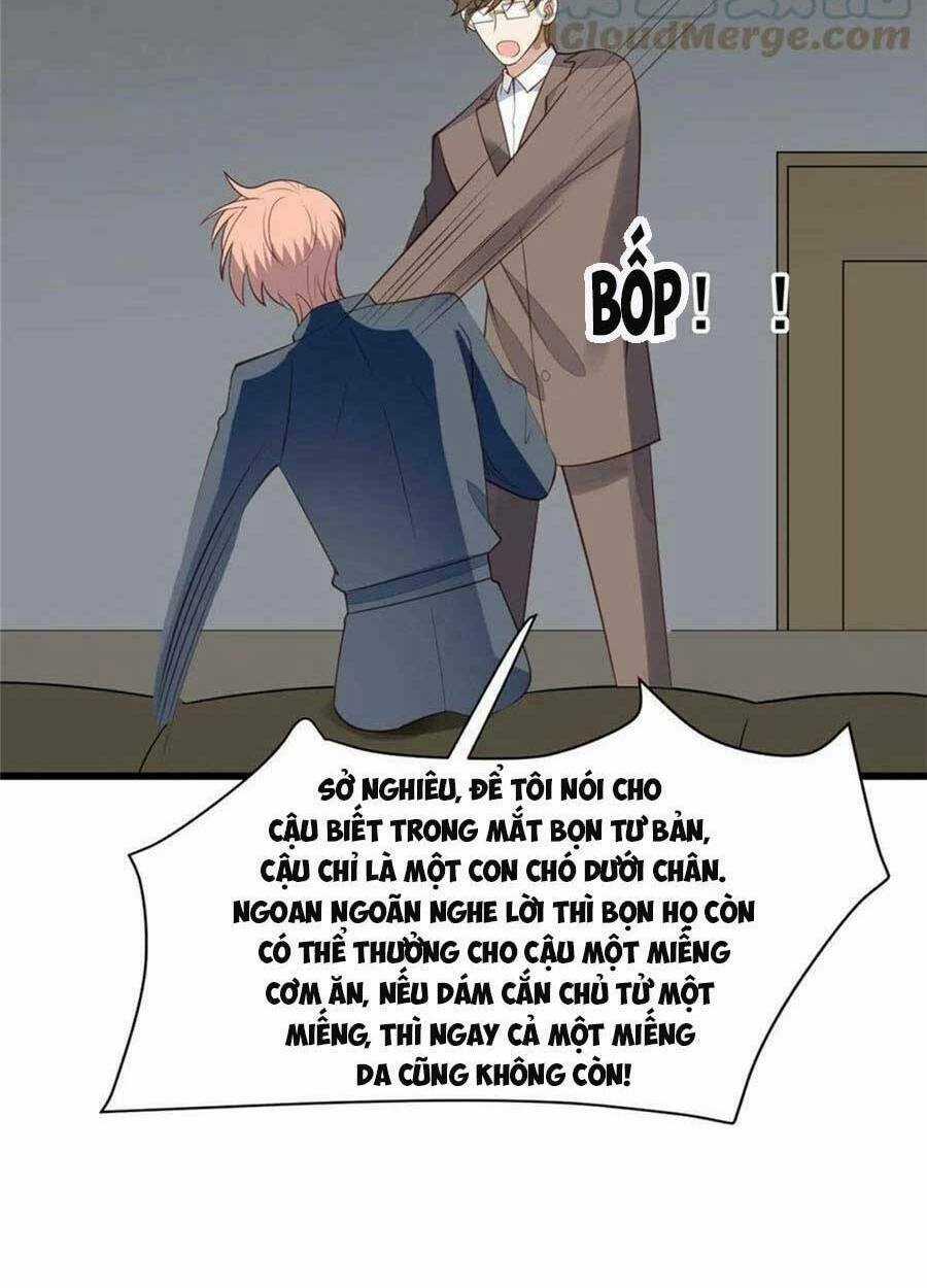 Lưng Dựa Núi Lớn Đứng Vững C Vị Chapter 154 trang 39