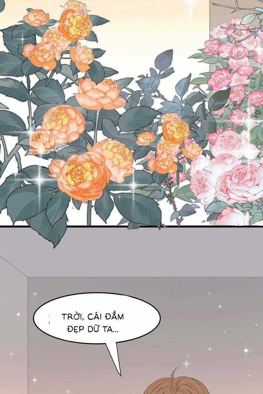 Lưng Dựa Núi Lớn Đứng Vững C Vị Chapter 159 trang 17