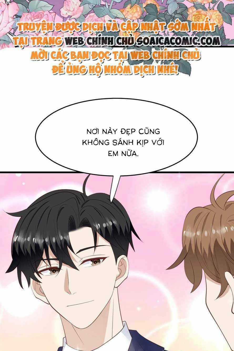 Lưng Dựa Núi Lớn Đứng Vững C Vị Chapter 159 trang 19