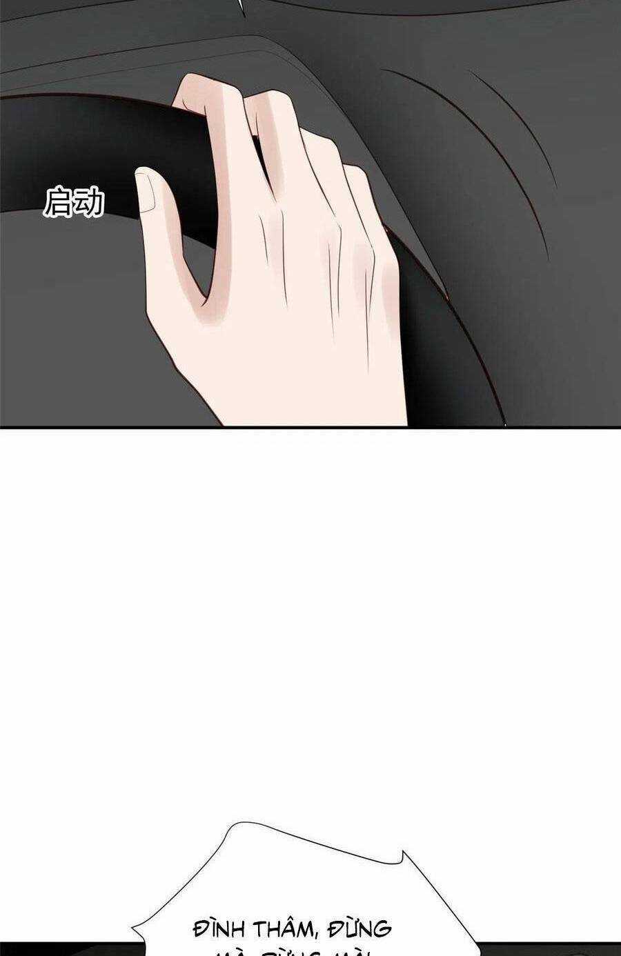 Lưng Dựa Núi Lớn Đứng Vững C Vị Chapter 172 trang 12