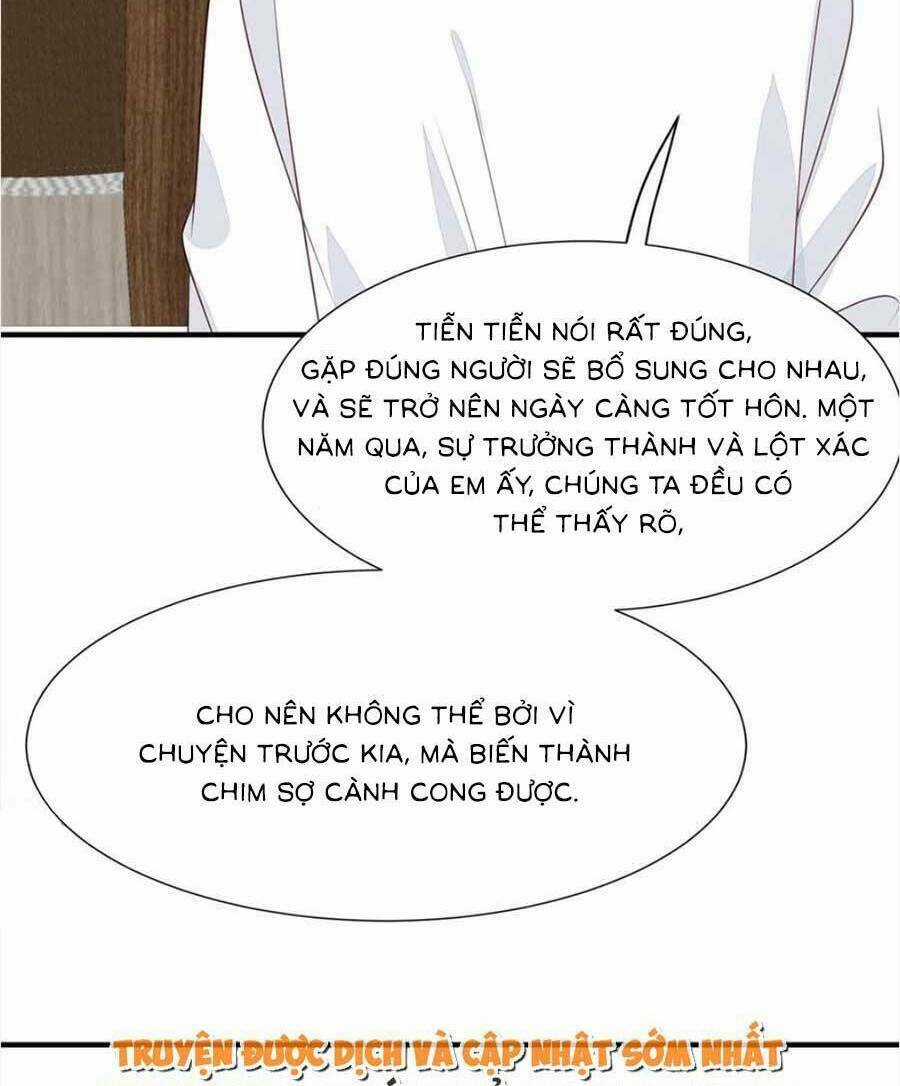 Lưng Dựa Núi Lớn Đứng Vững C Vị Chapter 174 trang 32