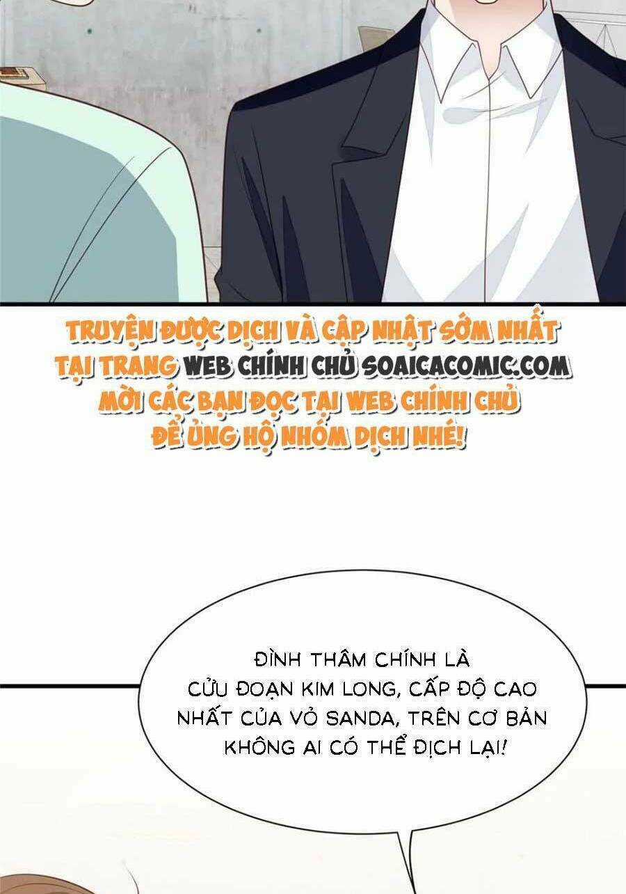 Lưng Dựa Núi Lớn Đứng Vững C Vị Chapter 184 trang 30