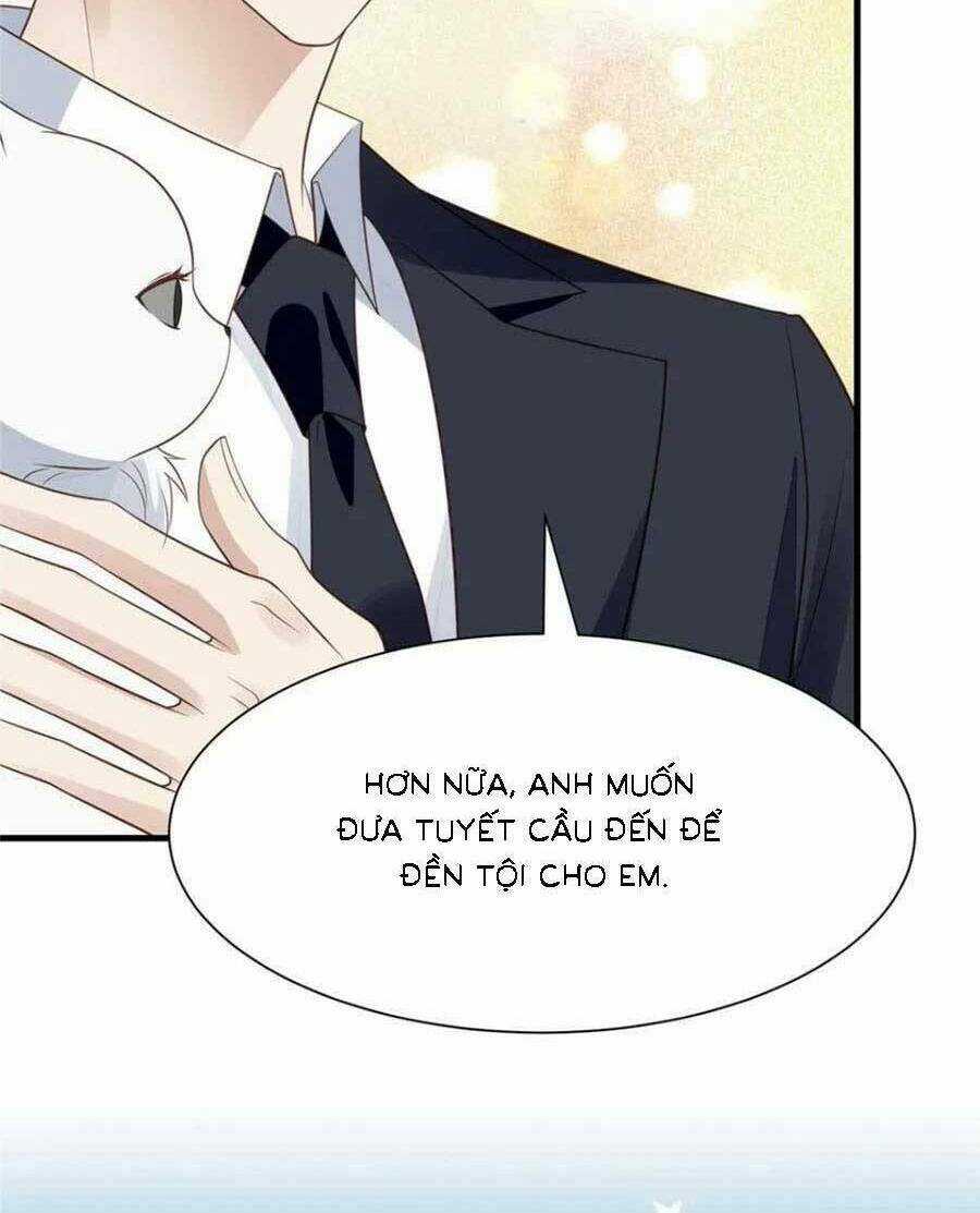 Lưng Dựa Núi Lớn Đứng Vững C Vị Chapter 185 trang 3