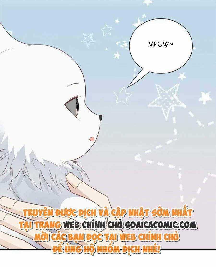 Lưng Dựa Núi Lớn Đứng Vững C Vị Chapter 185 trang 4