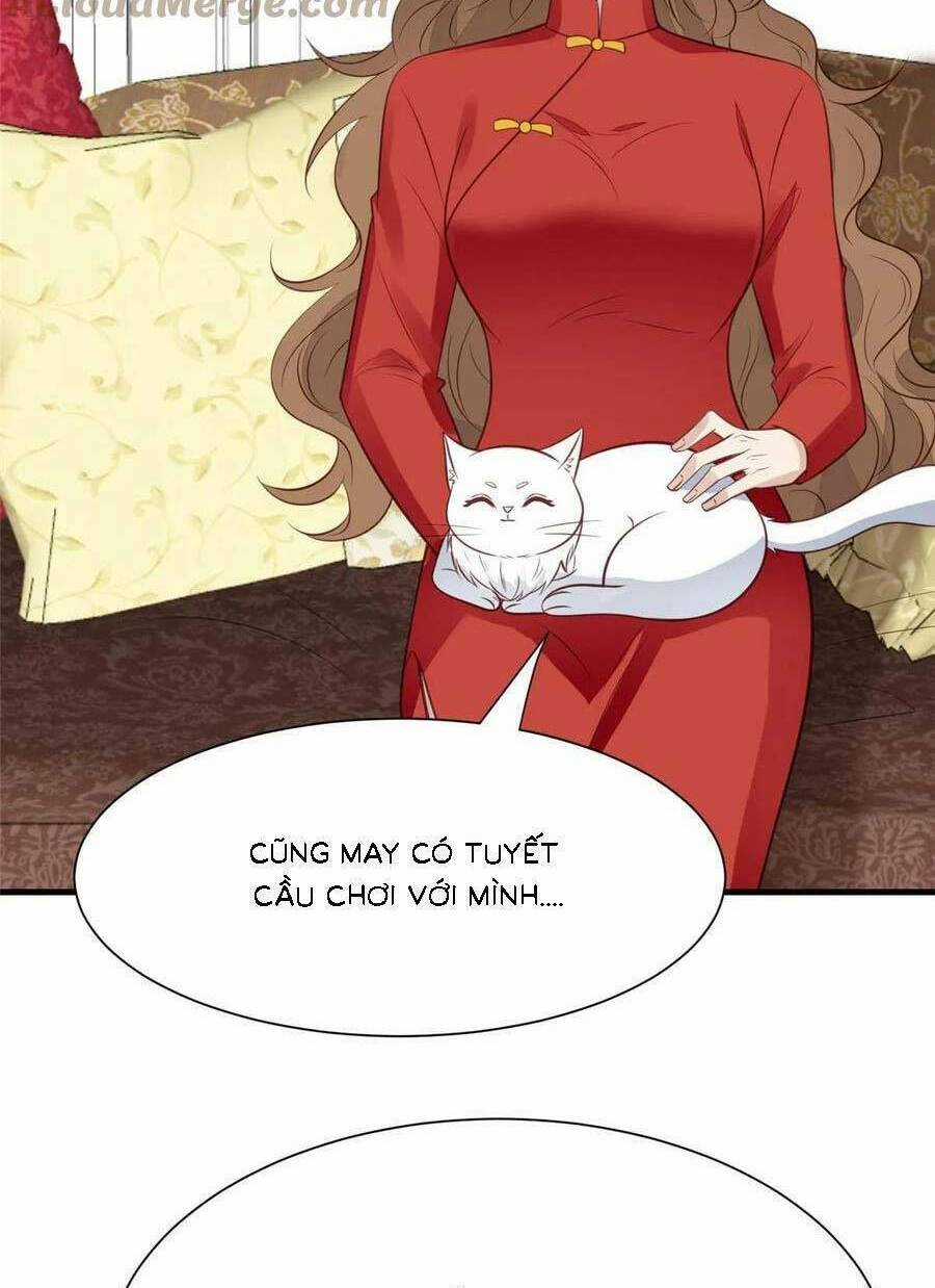 Lưng Dựa Núi Lớn Đứng Vững C Vị Chapter 186 trang 25