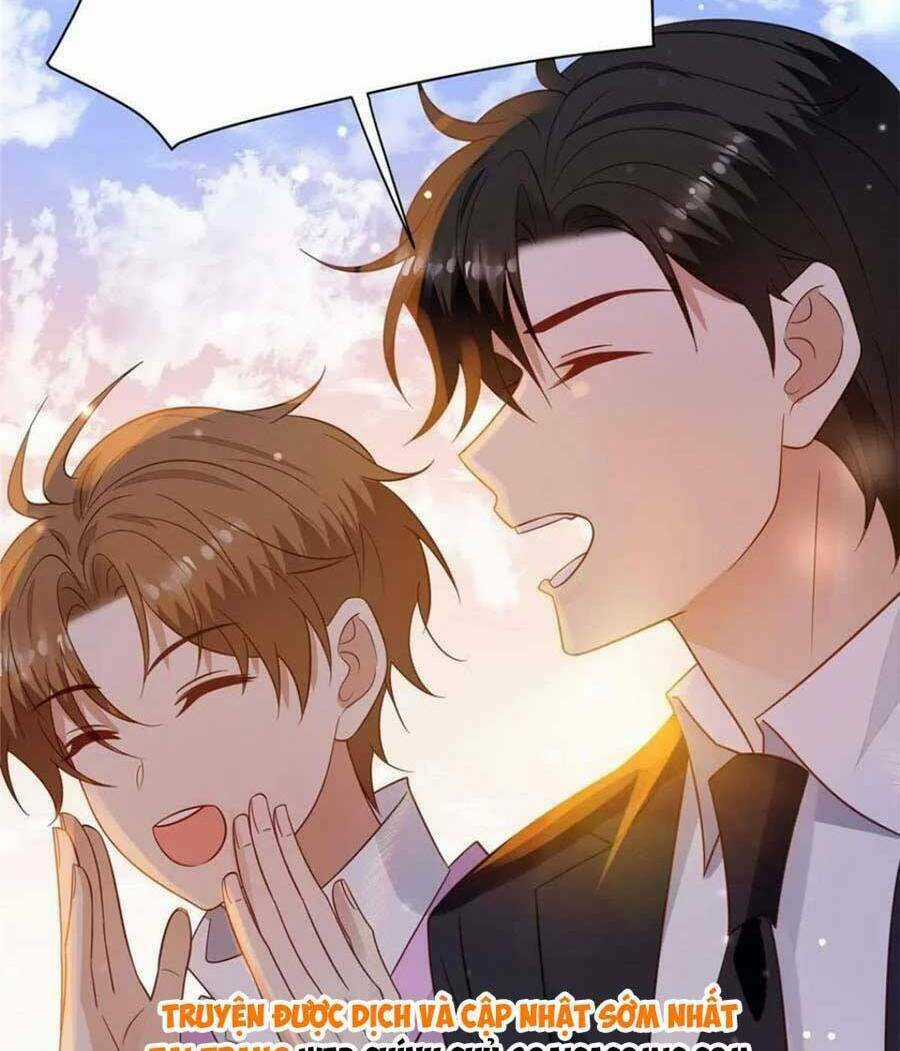 Lưng Dựa Núi Lớn Đứng Vững C Vị Chapter 195 trang 14