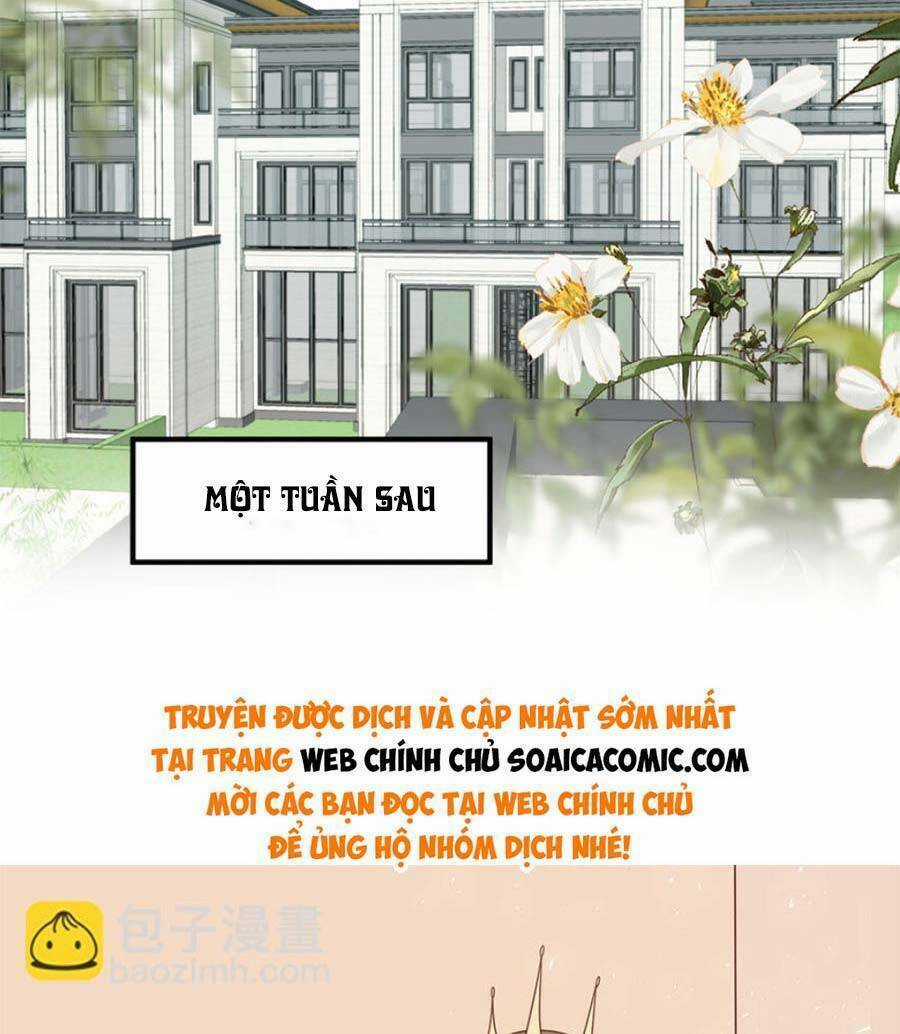 Lưng Dựa Núi Lớn Đứng Vững C Vị Chapter 200 trang 26