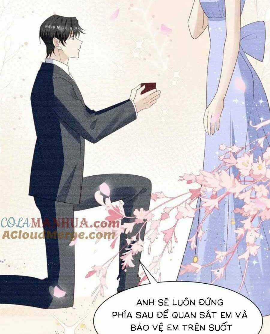 Lưng Dựa Núi Lớn Đứng Vững C Vị Chapter 203 trang 13