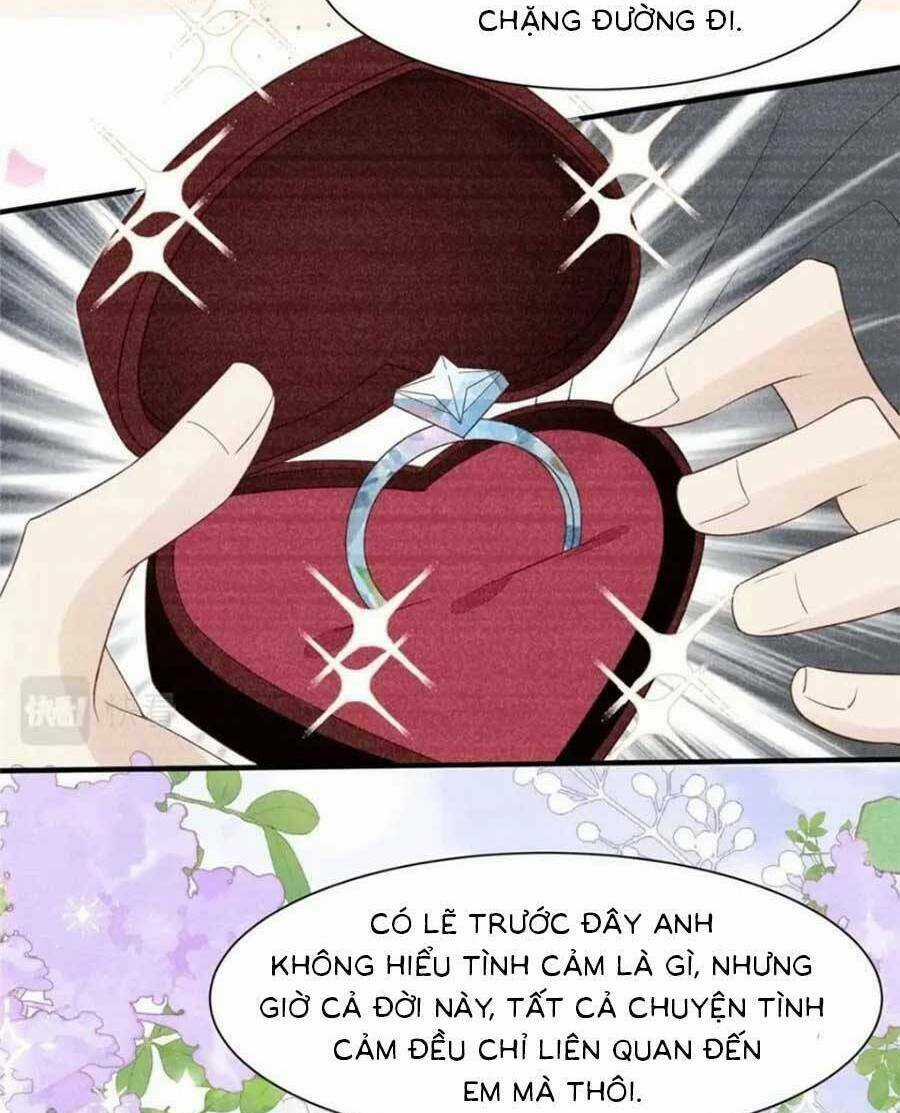 Lưng Dựa Núi Lớn Đứng Vững C Vị Chapter 203 trang 14