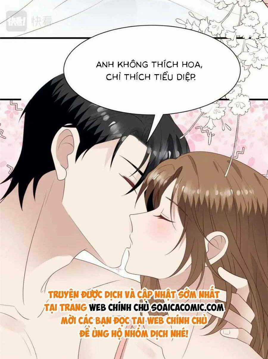 Lưng Dựa Núi Lớn Đứng Vững C Vị Chapter 203 trang 27