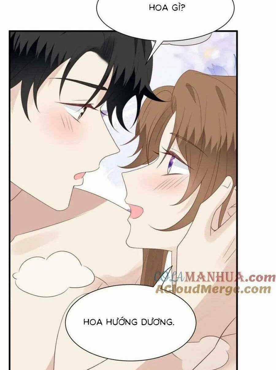 Lưng Dựa Núi Lớn Đứng Vững C Vị Chapter 203 trang 29