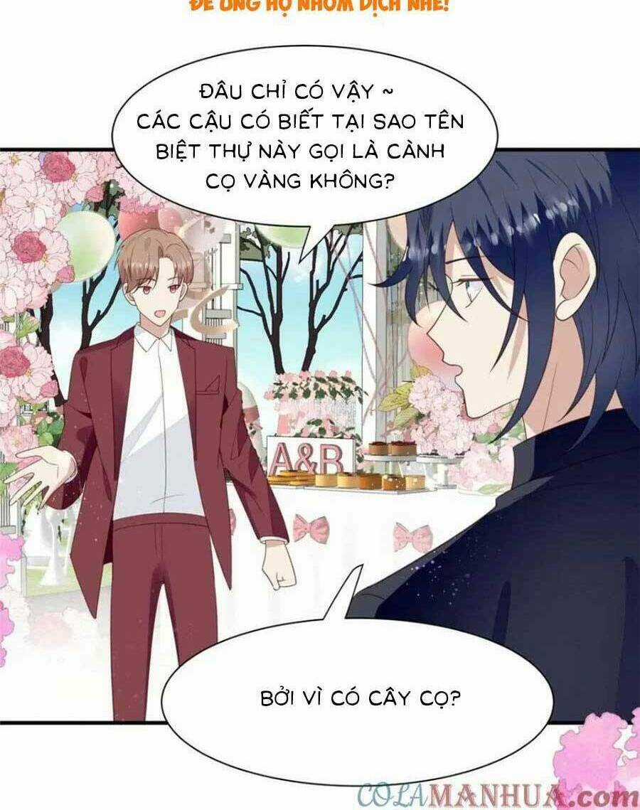 Lưng Dựa Núi Lớn Đứng Vững C Vị Chapter 203 trang 5