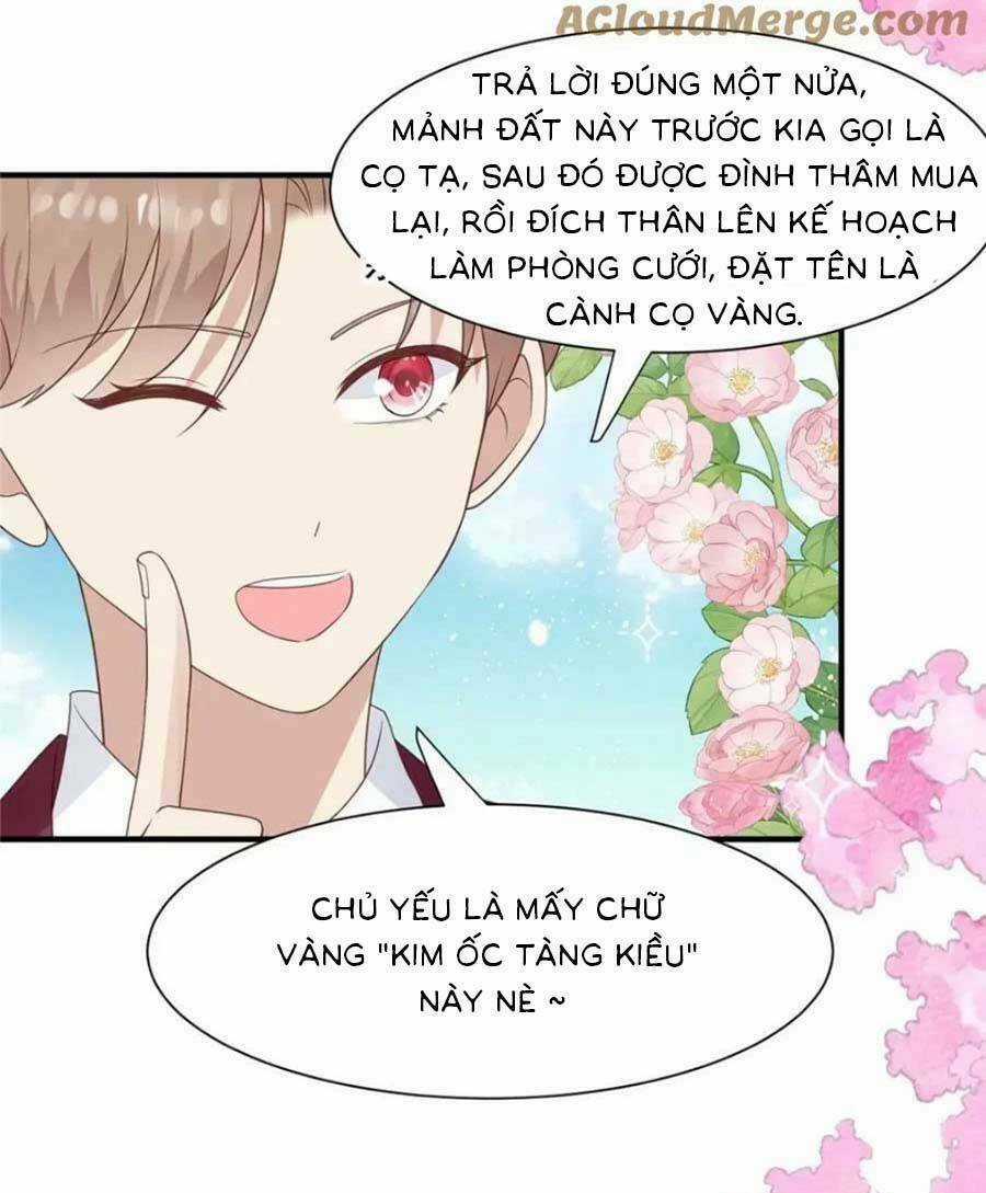Lưng Dựa Núi Lớn Đứng Vững C Vị Chapter 203 trang 6