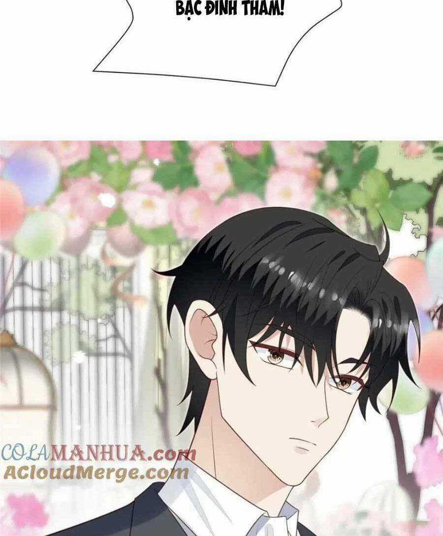 Lưng Dựa Núi Lớn Đứng Vững C Vị Chapter 203 trang 8