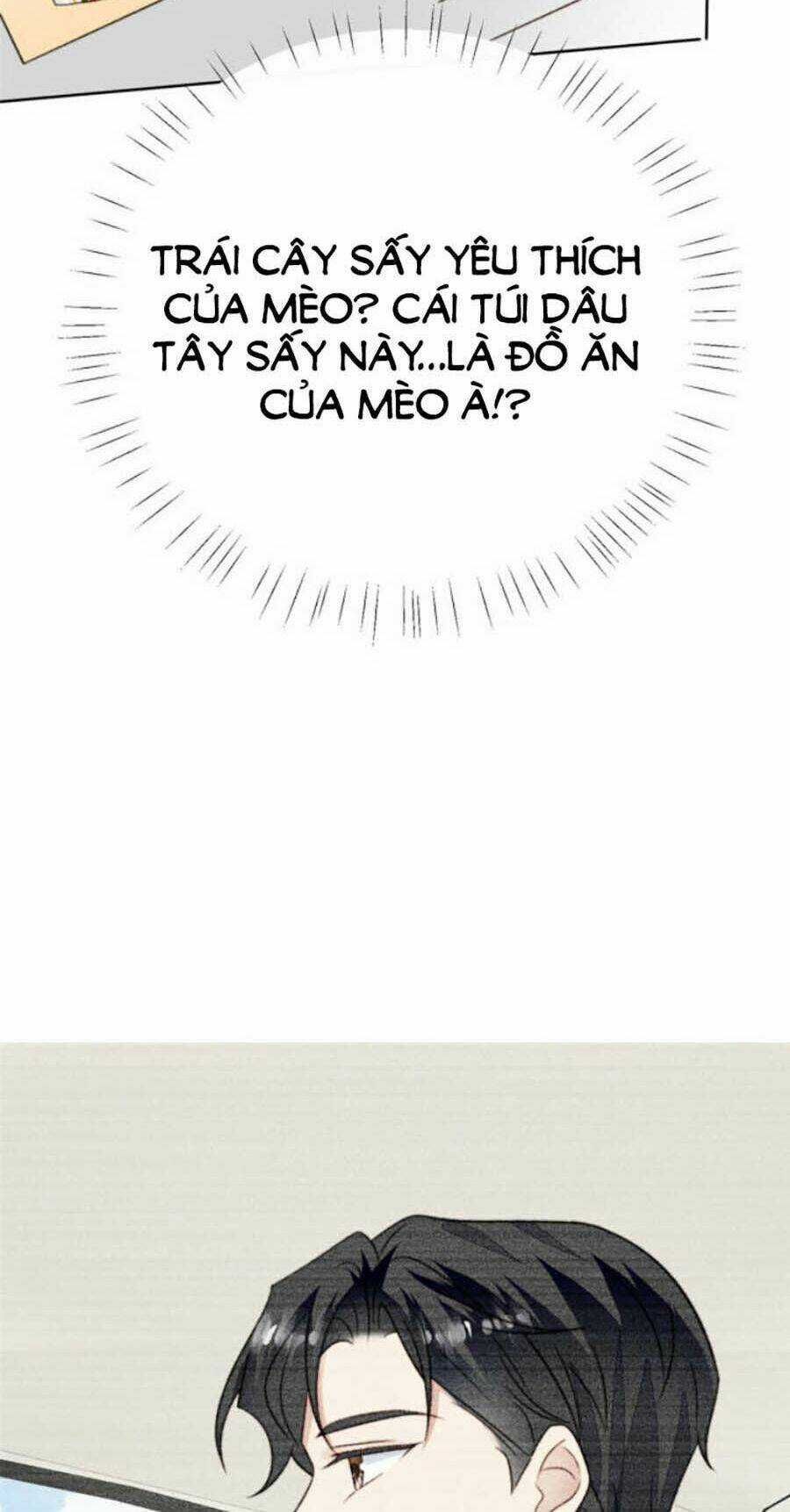 Lưng Dựa Núi Lớn Đứng Vững C Vị Chapter 36 trang 16