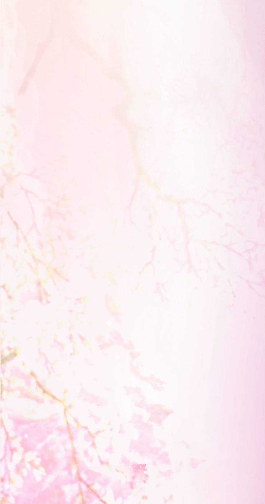 Lược Thiên Ký Chương 13 trang 19