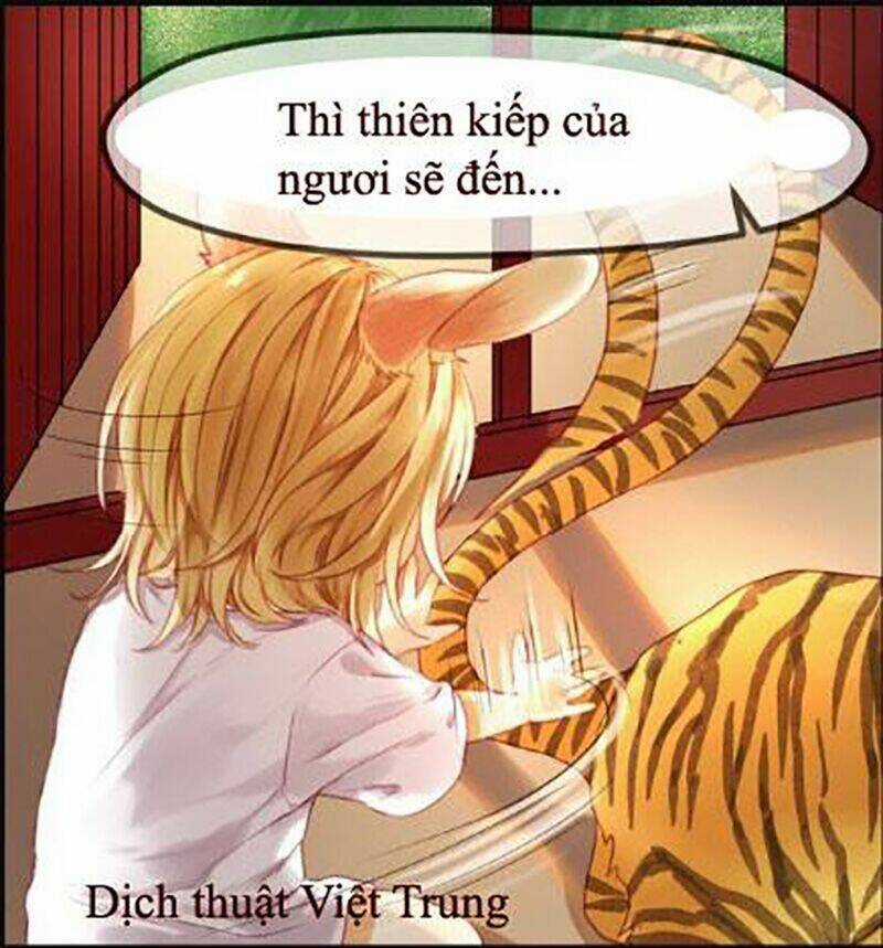 Lượm Được 1 Tiểu Hồ Ly Chapter 1 trang 15